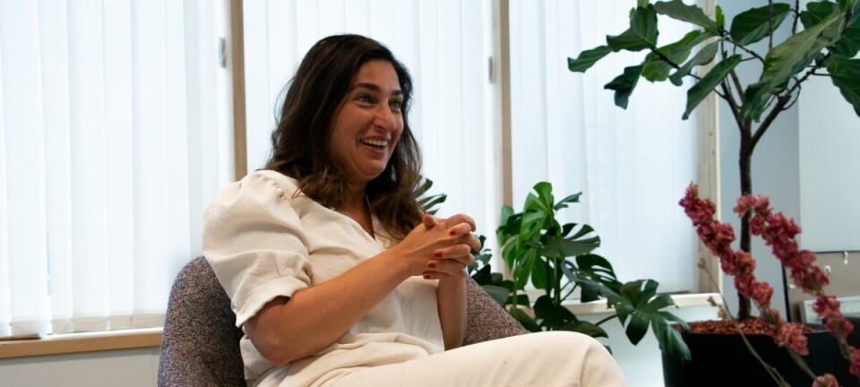 Zuhal Demir: 'De Boerenbond is mee verantwoordelijk voor het stikstofprobleem'