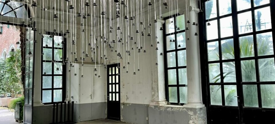 'Hear Here': de kunst van het luisteren