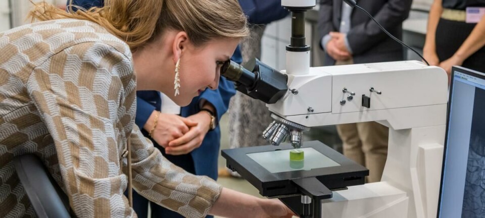Nieuw 3D-printlabo ingehuldigd met bezoek van prinses Elisabeth
