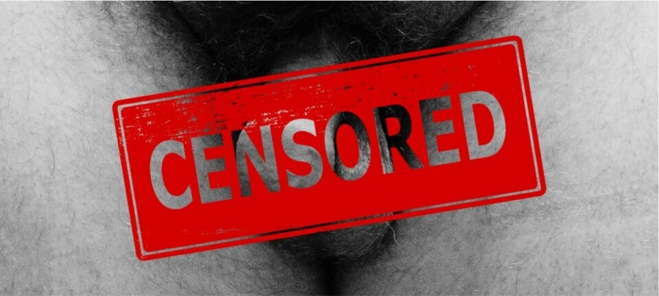 Wijdverspreide dickpic lokt hevige reacties uit