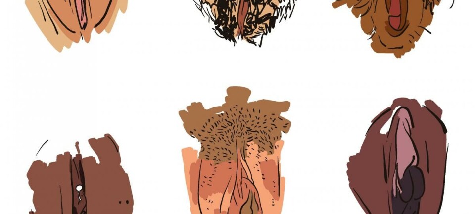 Lack of knowledge causes an orgasm gap