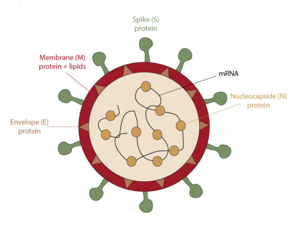 Vaccines against COVID-19: differently equal