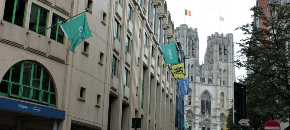 Tweetalige bachelor Rechten in Brussel ondervindt moeilijkheden