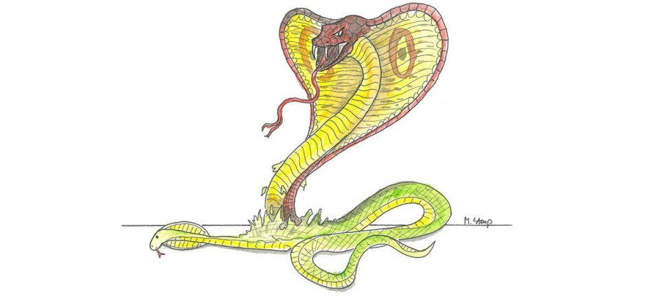 Van COBRA 1.0 naar COBRA 2.0
