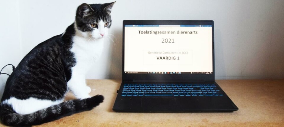 Toelatingsproef Diergeneeskunde als oplossing tegen overvolle aula's