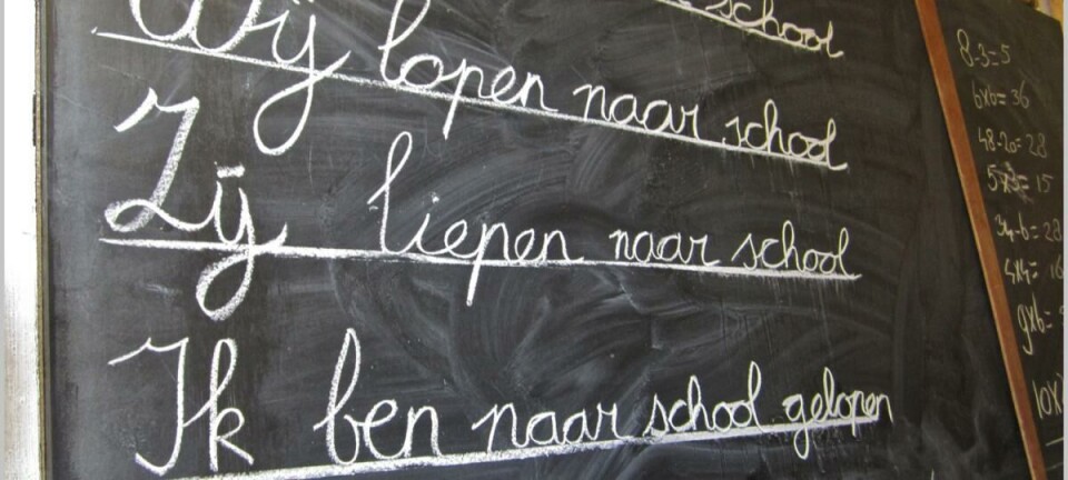 Politieke standpunten over de hervorming van het secundair onderwijs