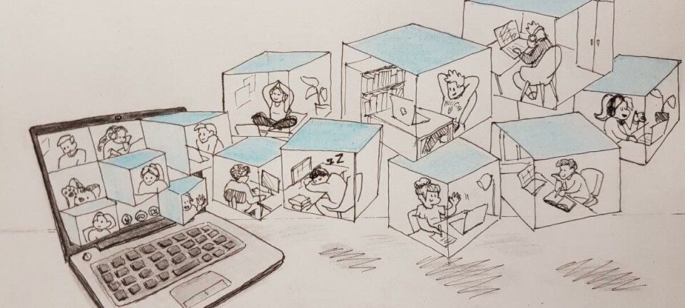 Samen, maar dan anders: online studeren