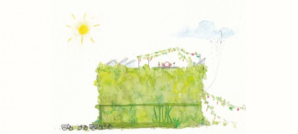 'De cultuursector is ondergefinancierd; ecologie is niet de kerntaak'