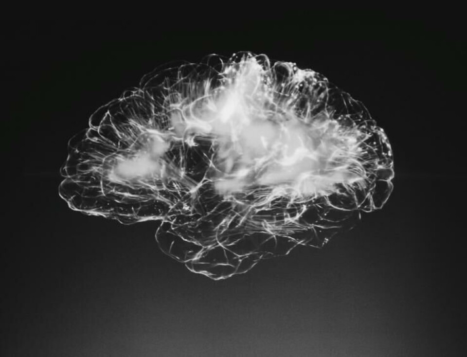 How does the brain work anyway?