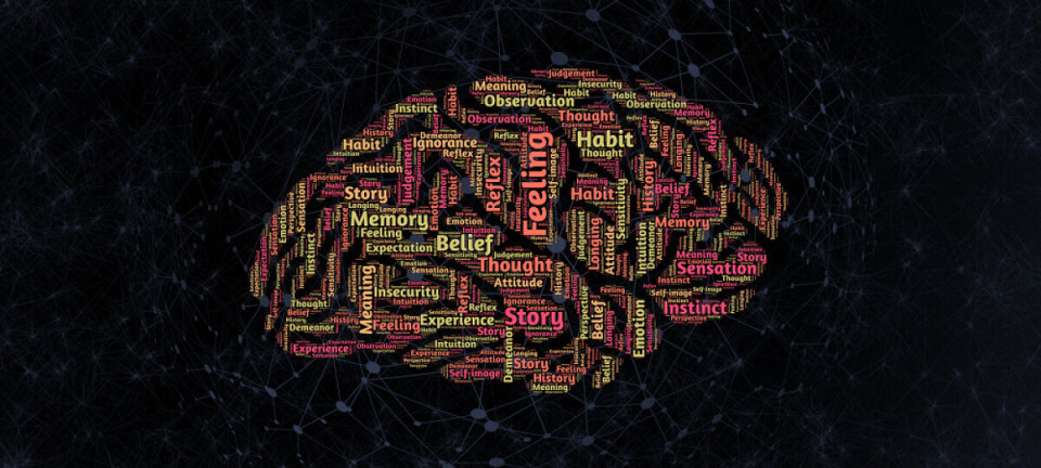 How does the brain work anyway?