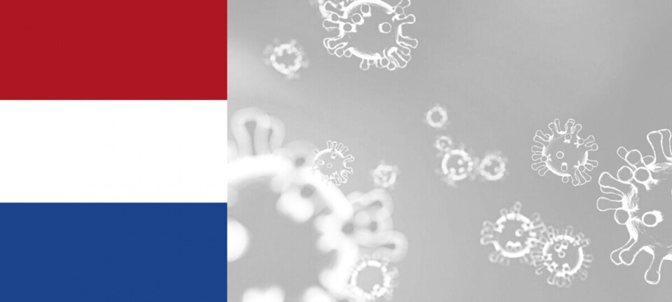 Effects of COVID-19 in The Netherlands: Herd Immunity