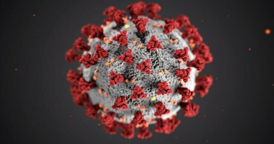 Coronavirus: What it is, Its consequences & What you can do