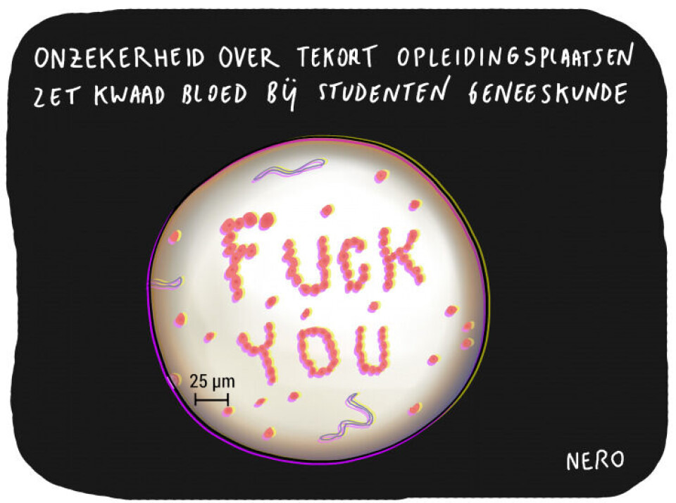Opluchting bij geneeskundestudenten over stageplaatsen