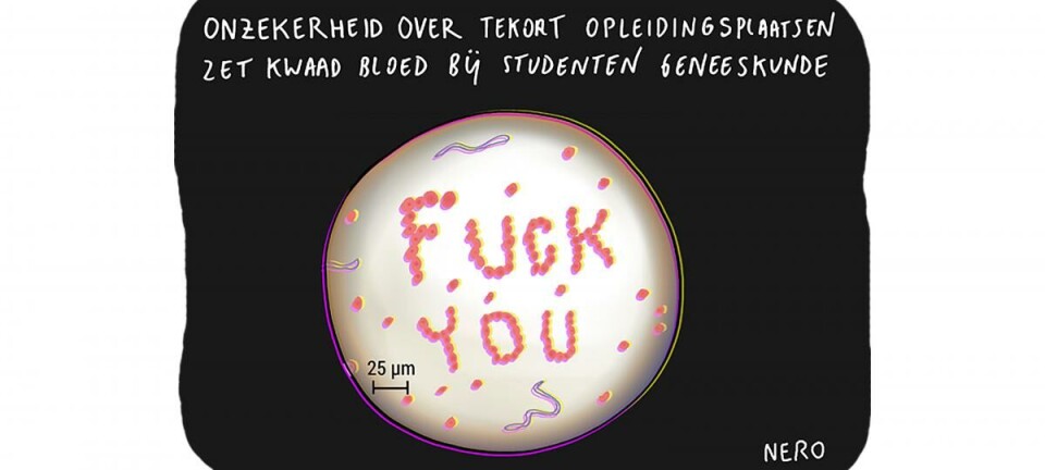 Opluchting bij geneeskundestudenten over stageplaatsen