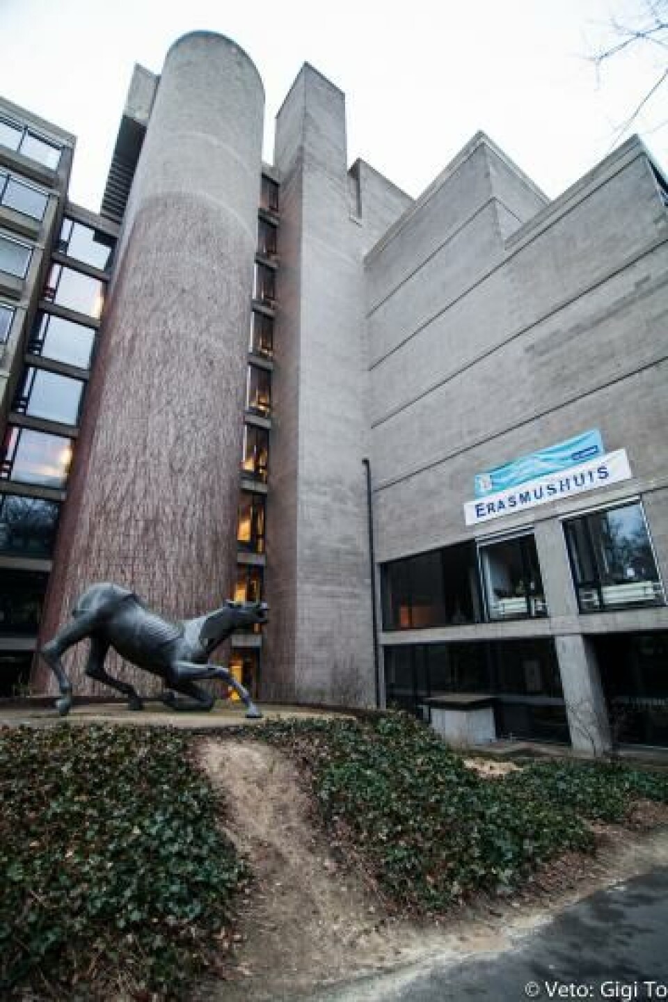 Letterendecaan Jo Tollebeek: ‘Studenten moeten opschorting Slavistiek genuanceerder bekijken’