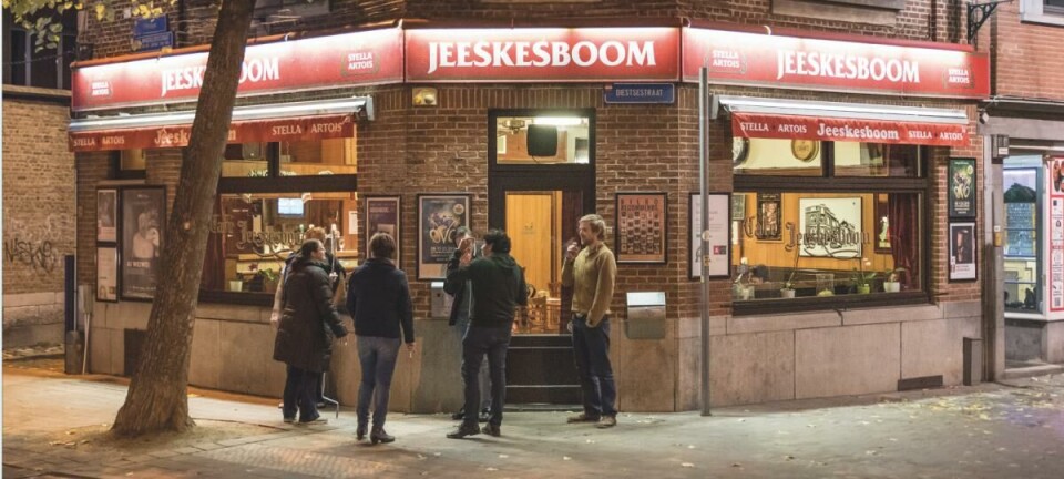 Jezus heeft een boom en die staat in Leuven