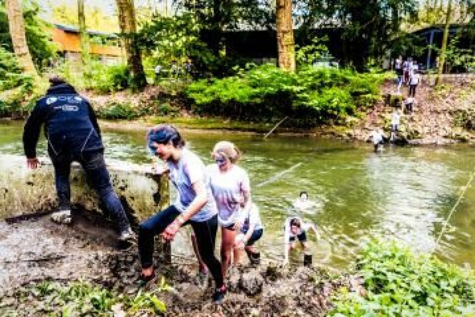 Bezweet, bewaterd en bekleurd: Survival of the Student