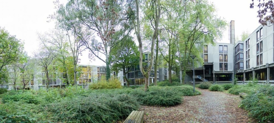 Geplande overval na nachtje uit