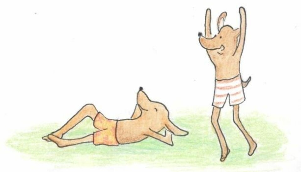 Veto's grote zomergids