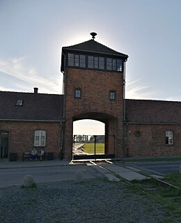 Wils en Van Nieuwenhuyse: 'Leren uit of met de Holocaust?'