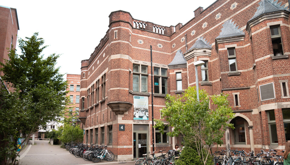Tussen het groen of pal in het centrum: dit zijn de beste bibplekjes in Leuven