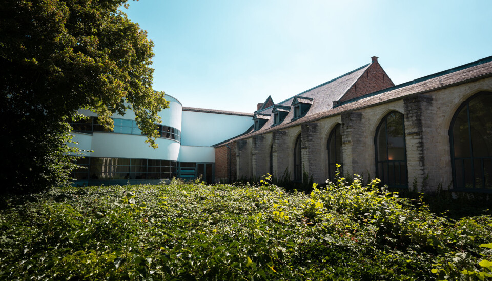 Tussen het groen of pal in het centrum: dit zijn de beste bibplekjes in Leuven