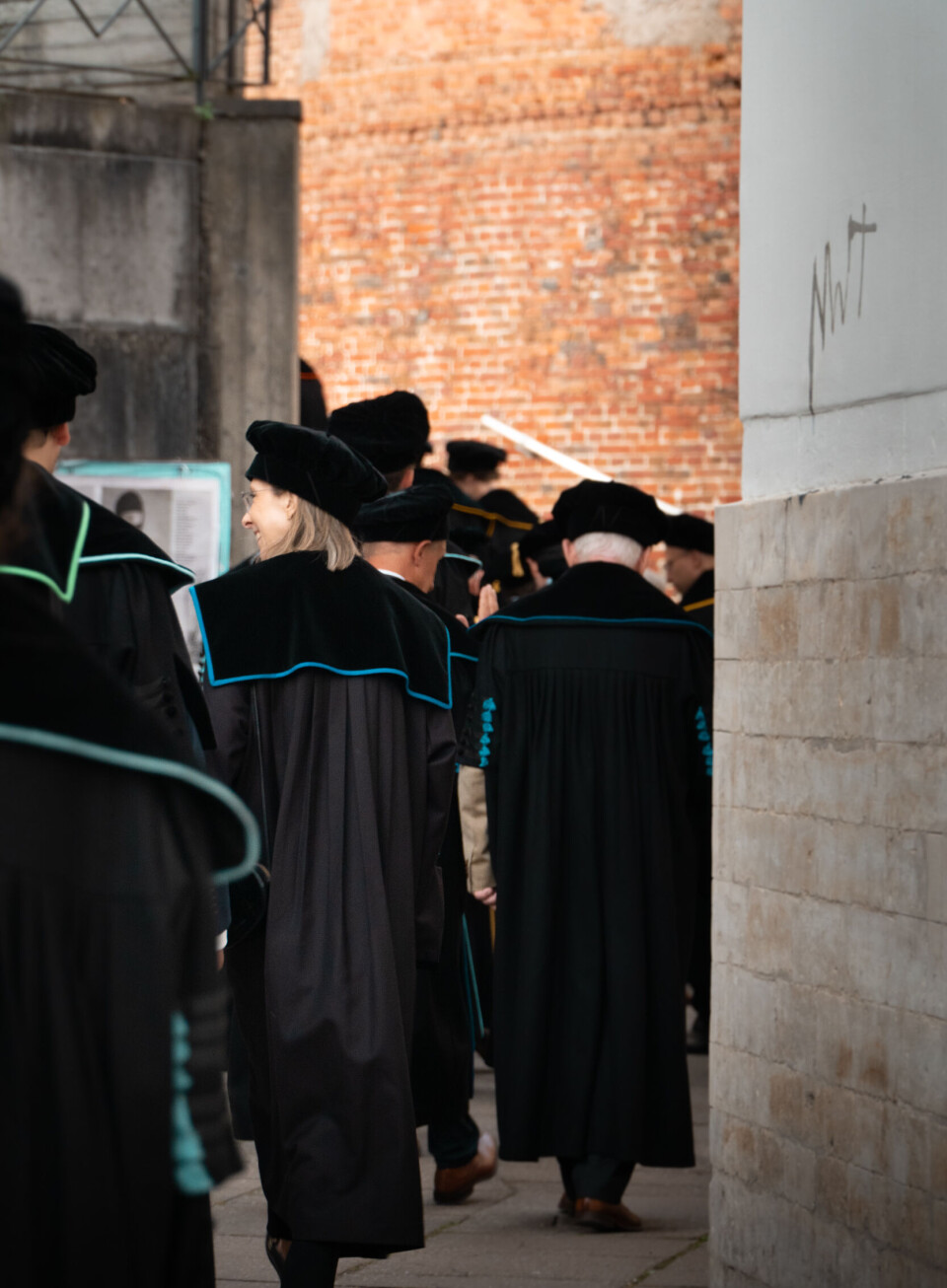 De kleurtint van de togati verschilt van faculteit tot faculteit.