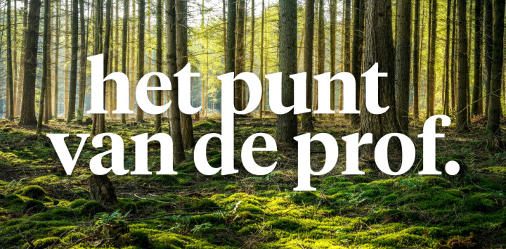 Waarom bomen planten toch geen ideale klimaatoplossing is