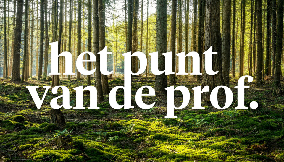 Waarom bomen planten toch geen ideale klimaatoplossing is