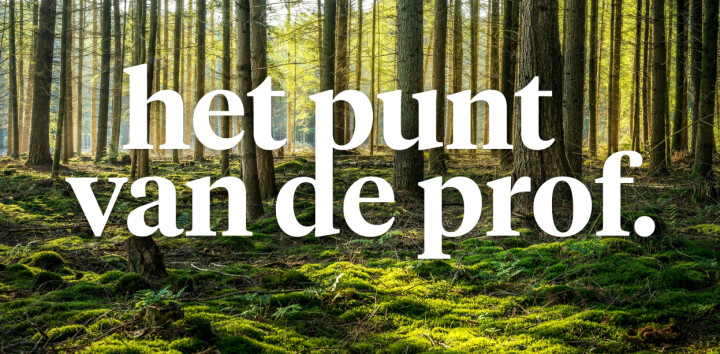 Waarom bomen planten toch geen ideale klimaatoplossing is