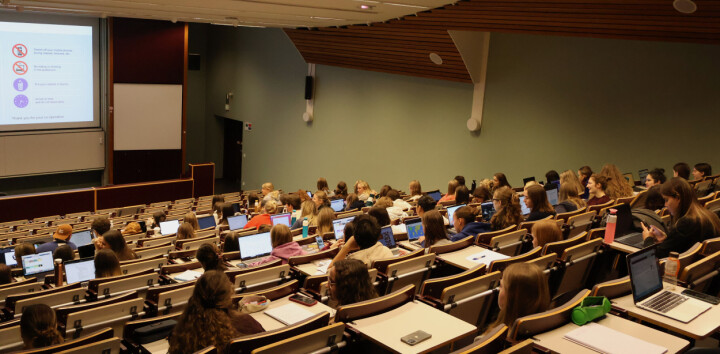 Vlaamse studenten voeren actie tegen besparing op studiebeurzen: 'Welke visie zit hierachter?'