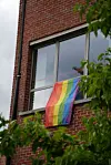 LGBTQIA+